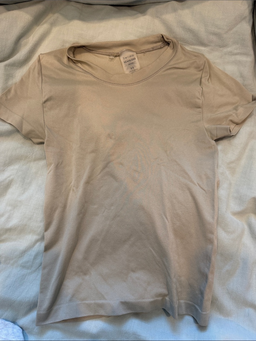 Aritzia Short Sleeve Crewneck Tee in Beige